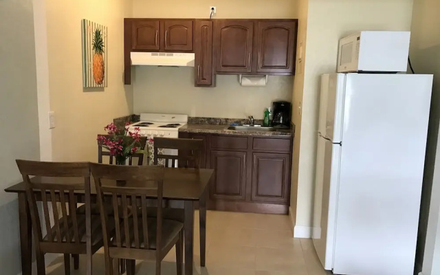 Deluxe Double Suite with view