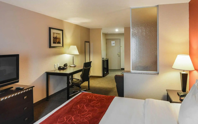 Suite
