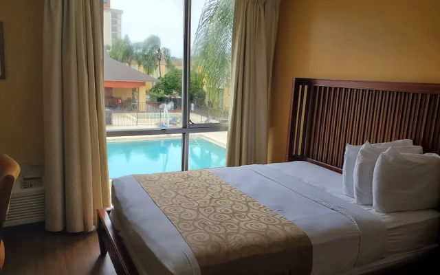 Standard Double room with pool view