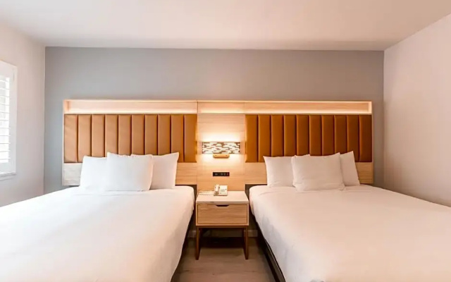 Deluxe Twin Suite