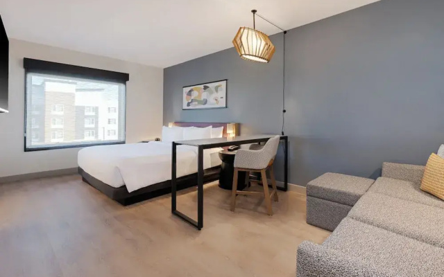 Suite