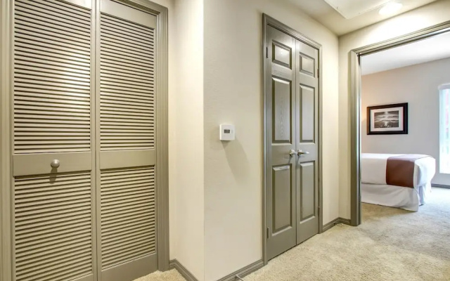 Luxury Apartment