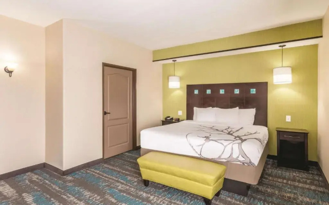 1 Bedroom Double Suite