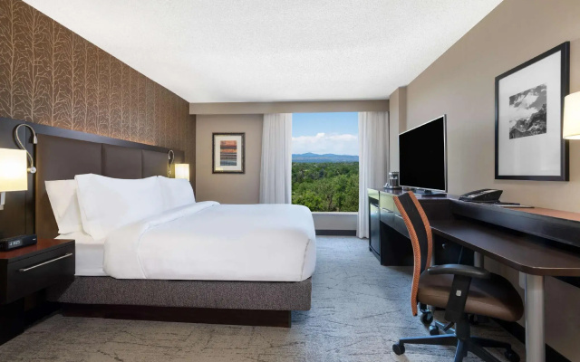 1 Bedroom Standard Double room with mountain view