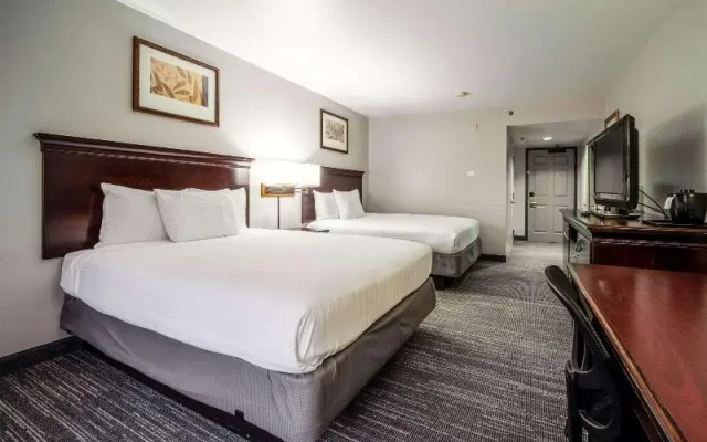 1 Bedroom Quadruple Suite