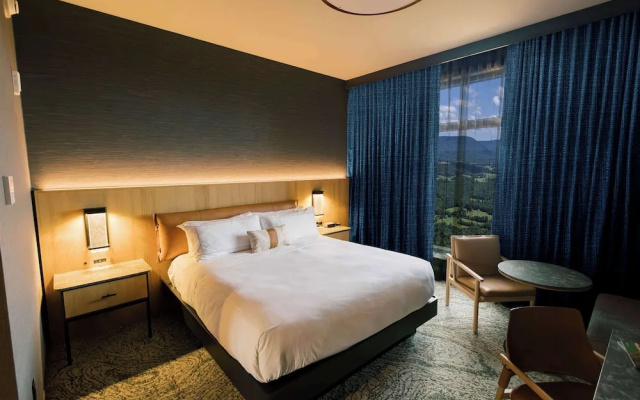 Superior Double room with mountain view