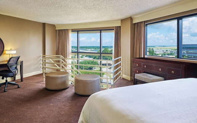 Club Level Family Double Bi-Level Suite