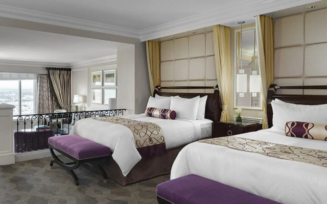 Premium Suite
