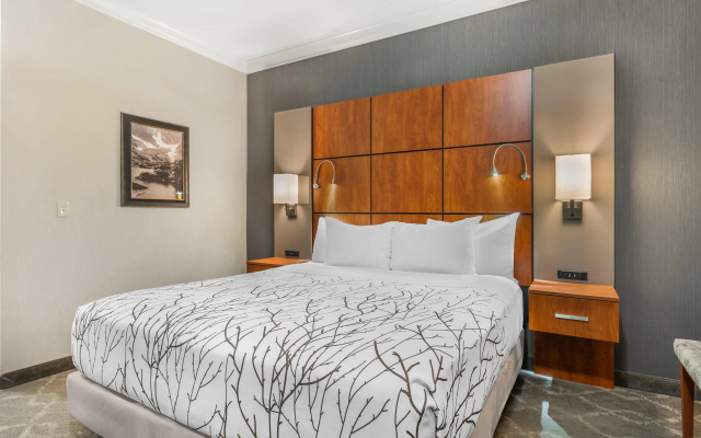 Double Suite with balcony and with mountain view