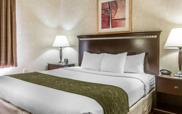 1 Bedroom Double Suite