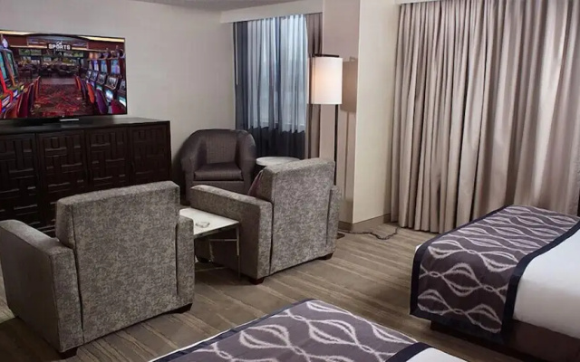 Premium Quadruple Suite