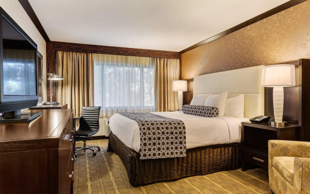 Executive Double room