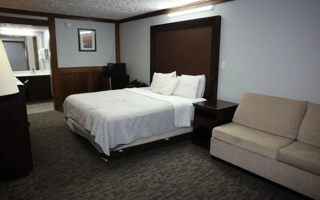 Business Suite