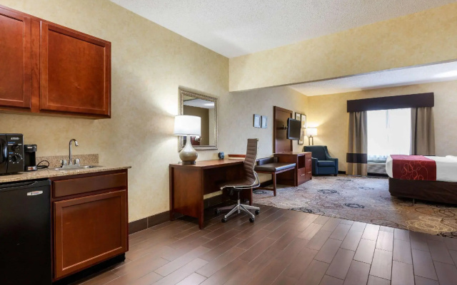 1 Bedroom Suite