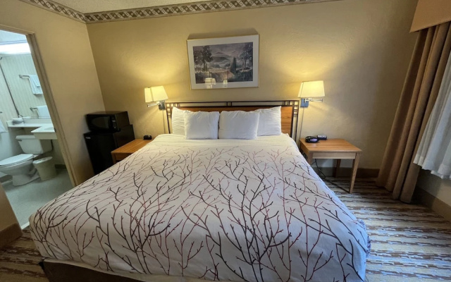 Standard Double room with city view