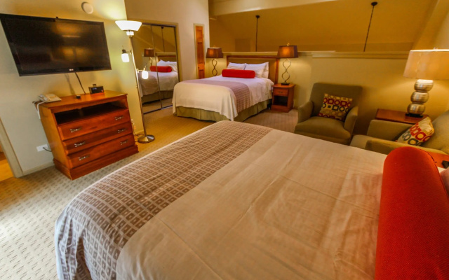 1 Bedroom Suite