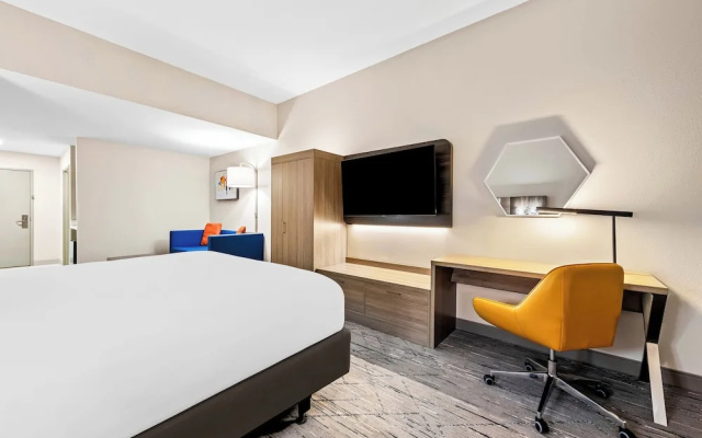 1 Bedroom Suite