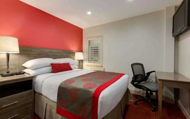 Standard Double room