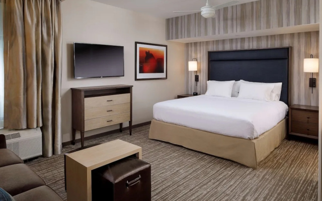 1 Bedroom Suite