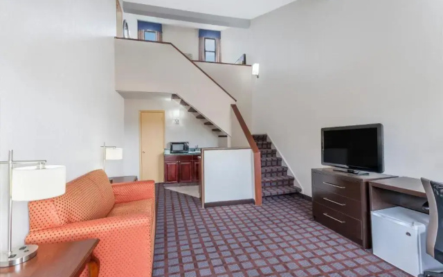 Suite