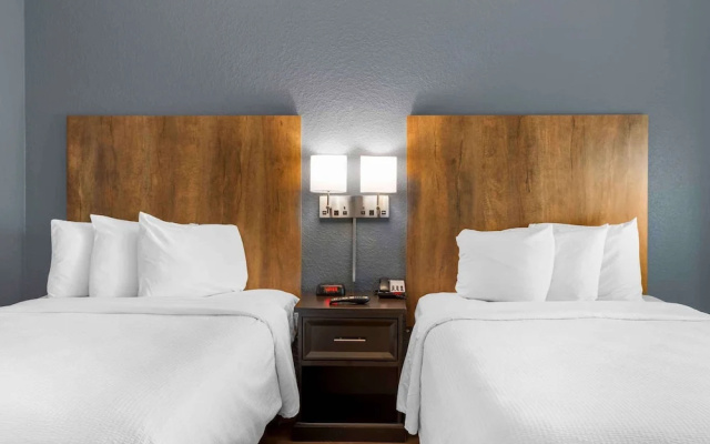 1 Bedroom Suite