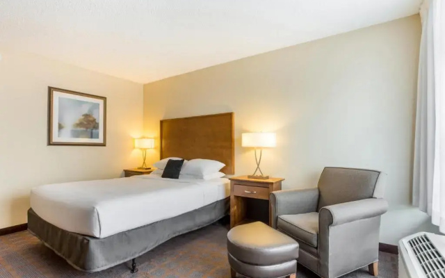 Standard Double room with pool view