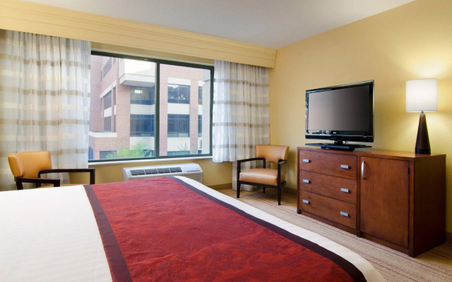 2 Bedrooms Double Suite