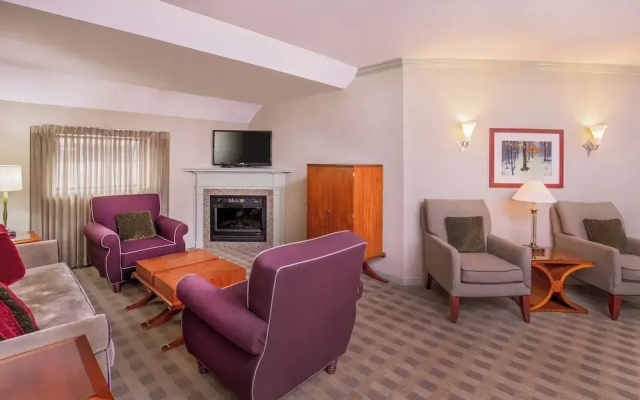 Presidential Double Suite with city view