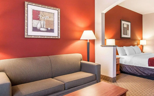 1 Bedroom Suite