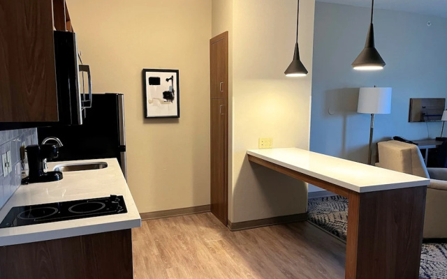 1 Bedroom Suite