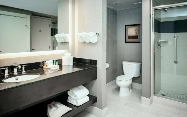 1 Bedroom Suite
