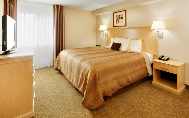 1 Bedroom Double Suite