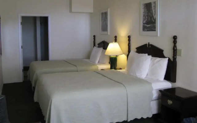 Superior Quadruple room