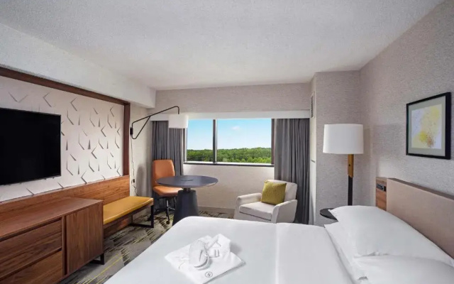 Club Level Double Suite