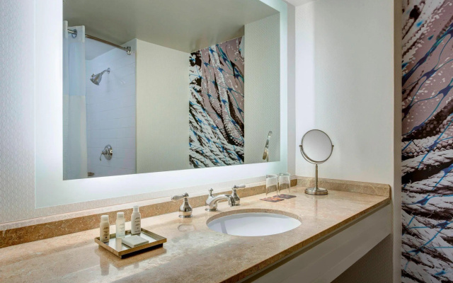 1 Bedroom Presidential Double Club Suite