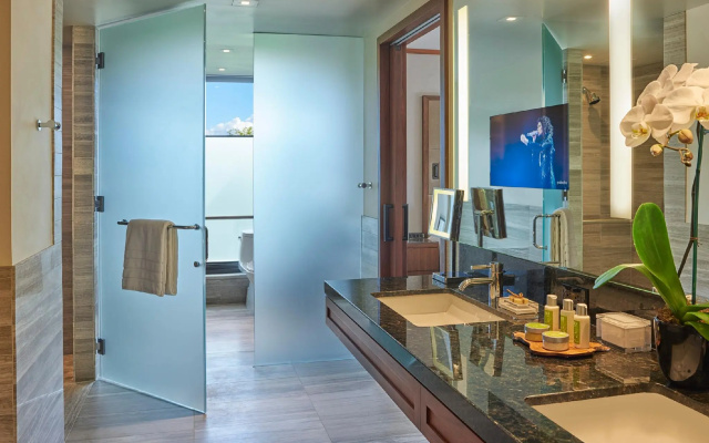 1 Bedroom Suite