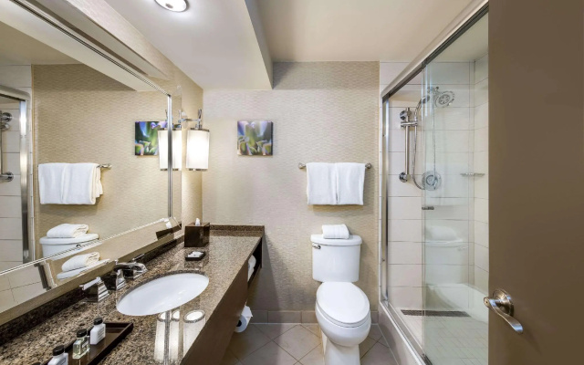 Double Suite