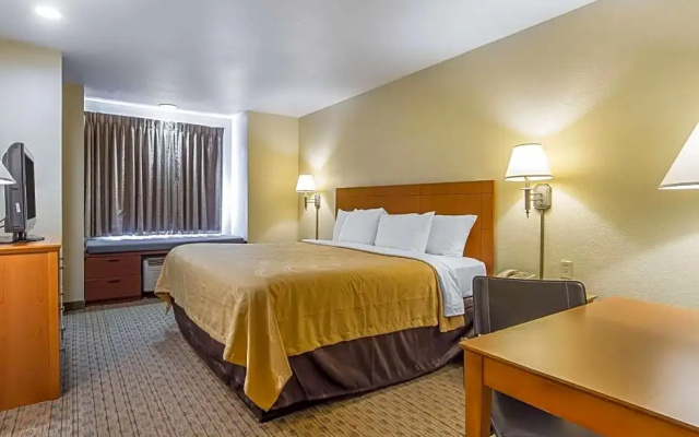 1 Bedroom Suite