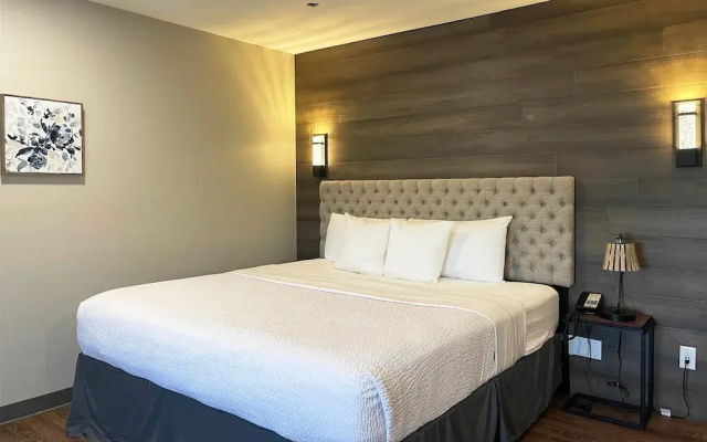 Deluxe Double Suite