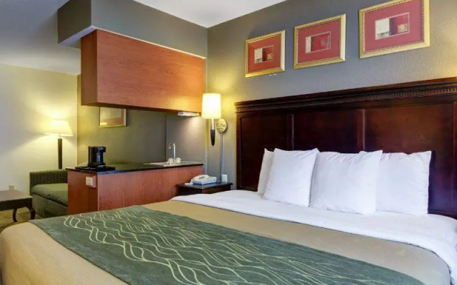 1 Bedroom Suite