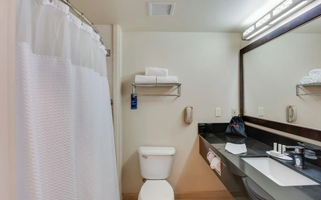 1 Bedroom Suite