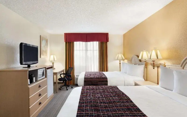 1 Bedroom Quadruple Suite