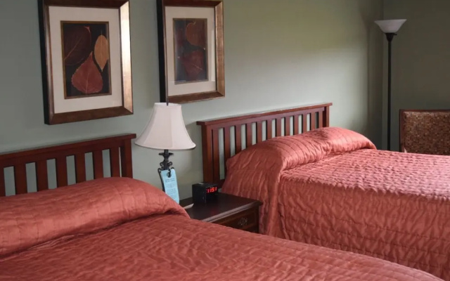 Economy room