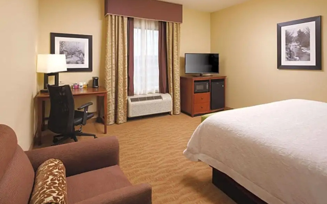 Standard Suite