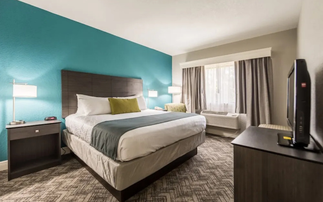 Standard Suite