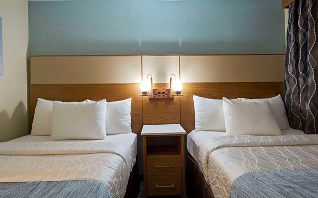 Twin Suite