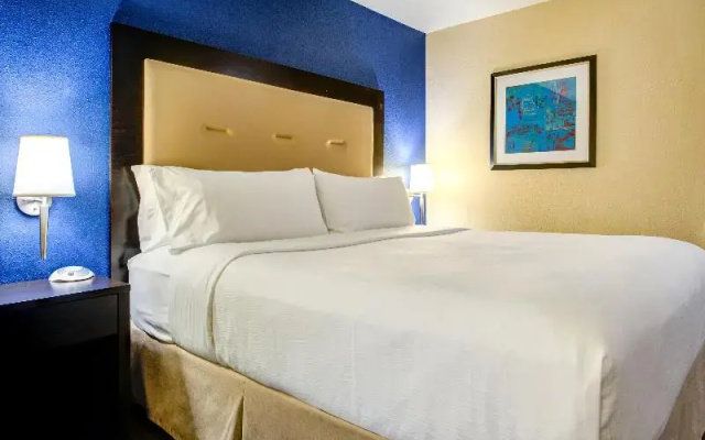 Premium room