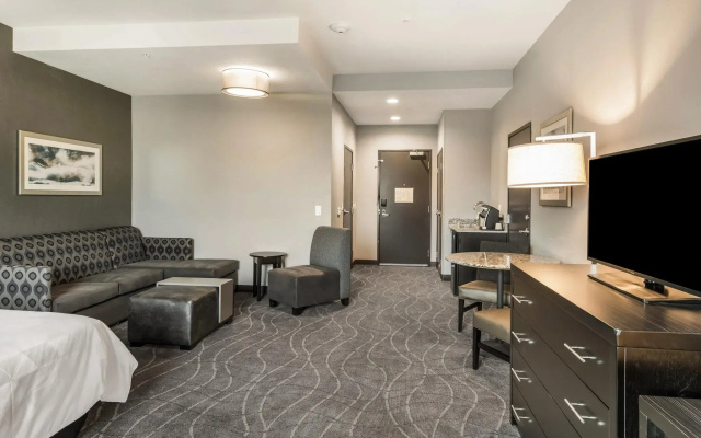 1 Bedroom Suite