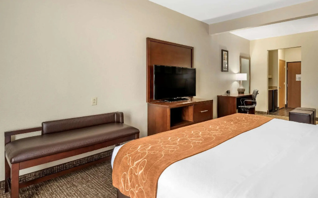1 Bedroom Suite