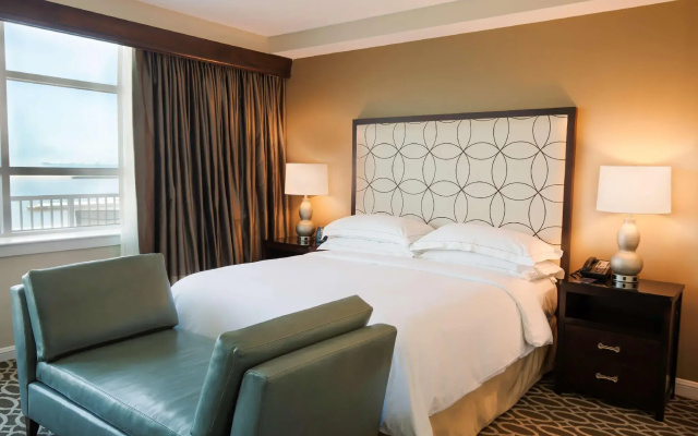 Double Suite with river view
